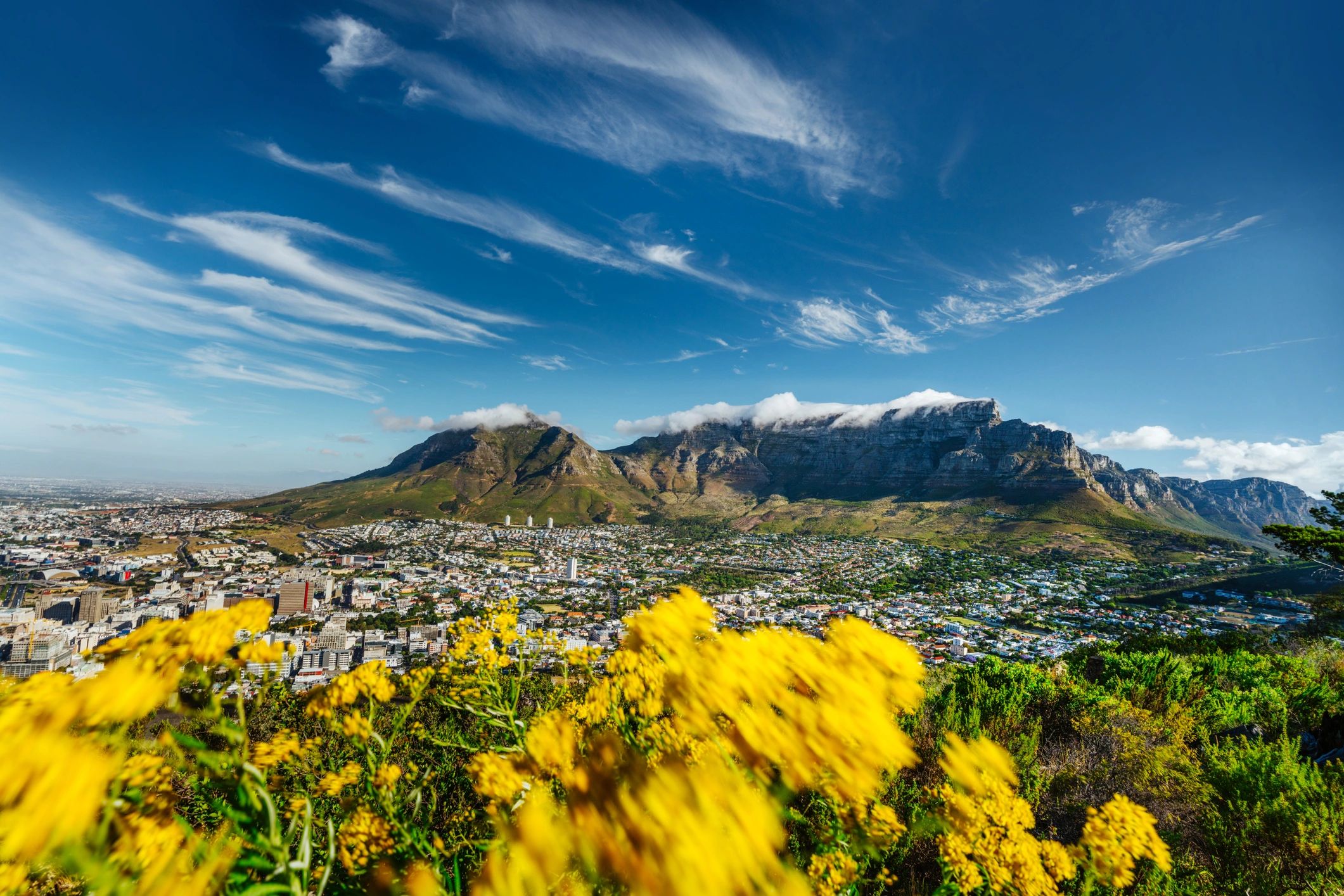 Cape Town scenic landscape